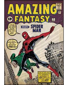 Murals Spider-Man #1 Comic Cover Mural