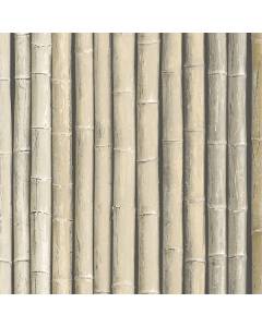 G67940 Bamboo Wallpaper