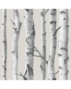 NU1650 Birch Tree Peel And Stick Wallpaper