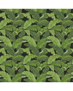 OD Belize Black Tropical Palm Leaves Outdoor Tempo Fabric