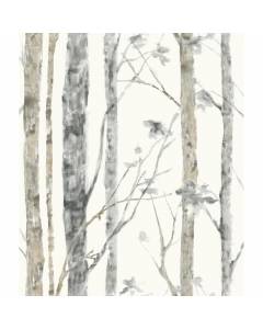 RMK9047WP Birch Trees Peel and Stick Wallpaper